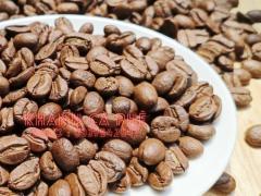 cung-cap-ca-phe-hat-bien-hoa-0339542587-28032023-1_18